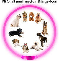 Hundehalsband LED leuchtend, pink, für kleine, mittlere und große Hunde, Sicherheit bei Nacht.
