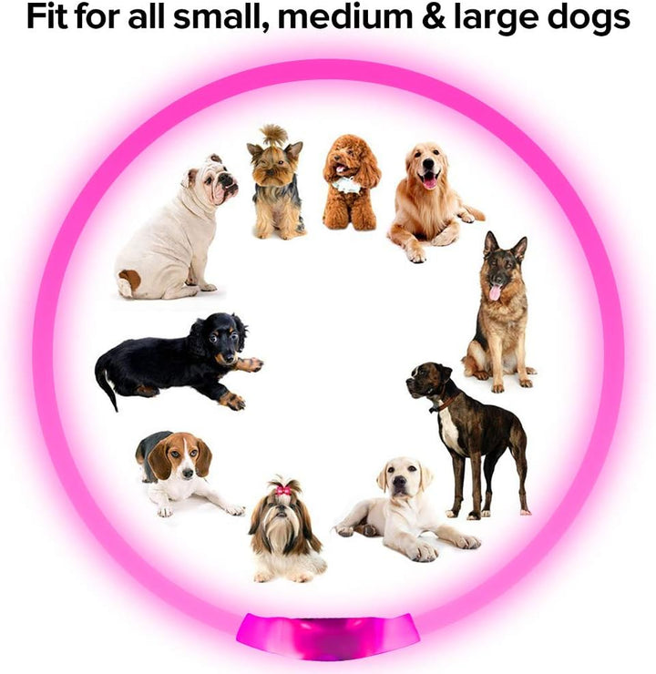 Hundehalsband LED leuchtend, pink, für kleine, mittlere und große Hunde, Sicherheit bei Nacht.