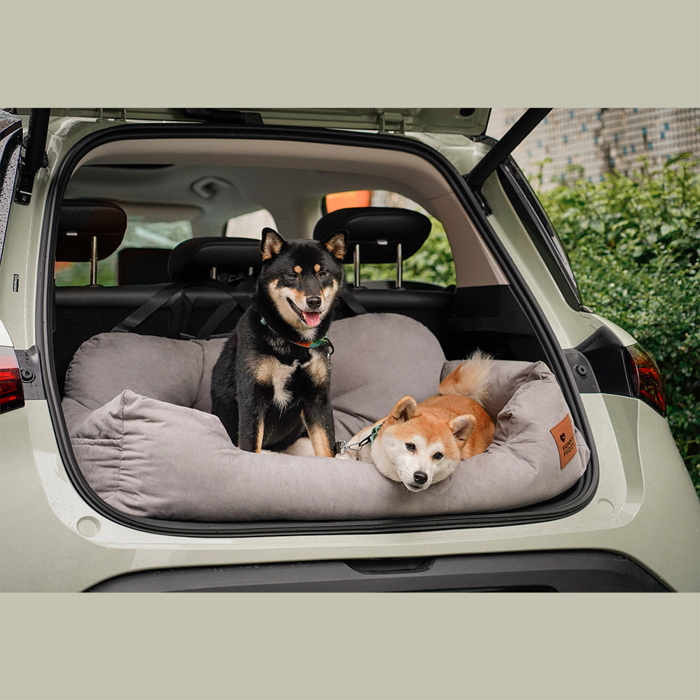 Zwei Hunde auf grauem Hundebett im Kofferraum eines Autos, komfortabel, reisefreundlich.