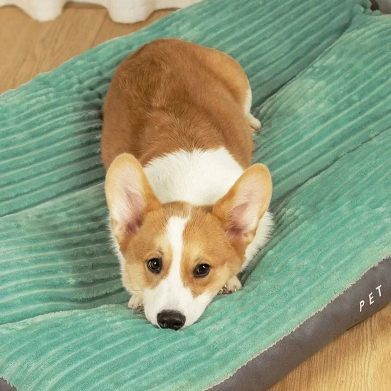 Corgi auf grünem Hundebett, gemütlich, Haustierbedarf, weiches Material, Hundekomfort.