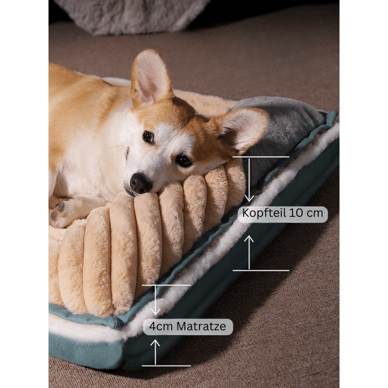 Corgi auf beigem Hundebett mit 4 cm Matratze, Kopfteil 10 cm, gemütlich, weich, Haustierbedarf.