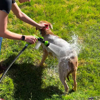 Person wäscht Hund im Garten mit Wasserschlauch, Sommer, Haustierpflege, grüne Wiese.
