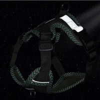 Reflektierendes, verstellbares Hundegeschirr in Dunkelgrün, robustes Nylonmaterial, für Outdoor-Aktivitäten.