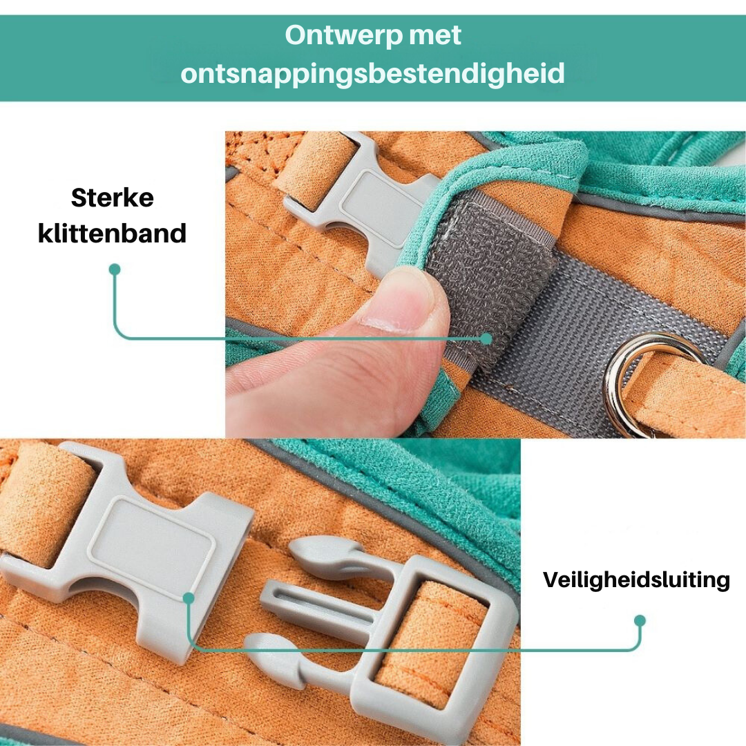 Grünes Hundegeschirr mit Sicherheitsverschluss, starkem Klettband, orangefarbenem Innenfutter.