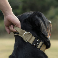 Hundehalsband aus Nylon, beige, mit Metallring, für große Hunde, robust und verstellbar.