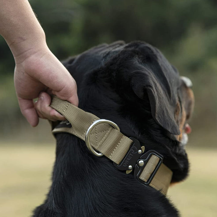Hundehalsband aus Nylon, beige, mit Metallring, für große Hunde, robust und verstellbar.