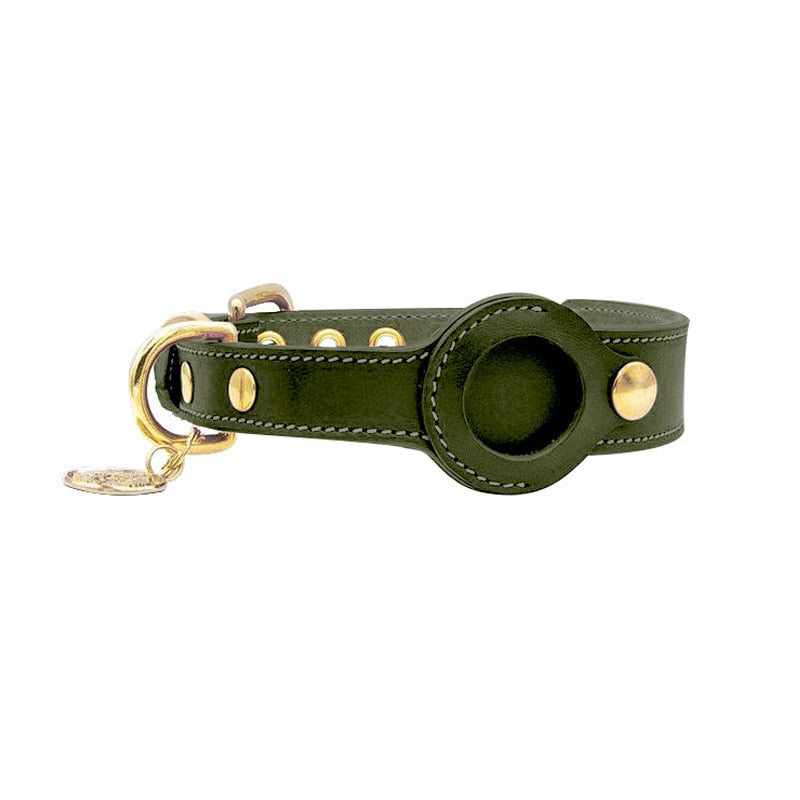 Grünes Lederhundehalsband mit goldenen Nieten und Anhänger, stilvoll und robust.