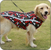 Goldener Retriever mit bunter Hundejacke, geometrisches Muster, Outdoor-Hundebekleidung.