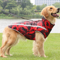 Golden Retriever mit roter Hundejacke, reflektierend, wasserdicht, Outdoor, am See.