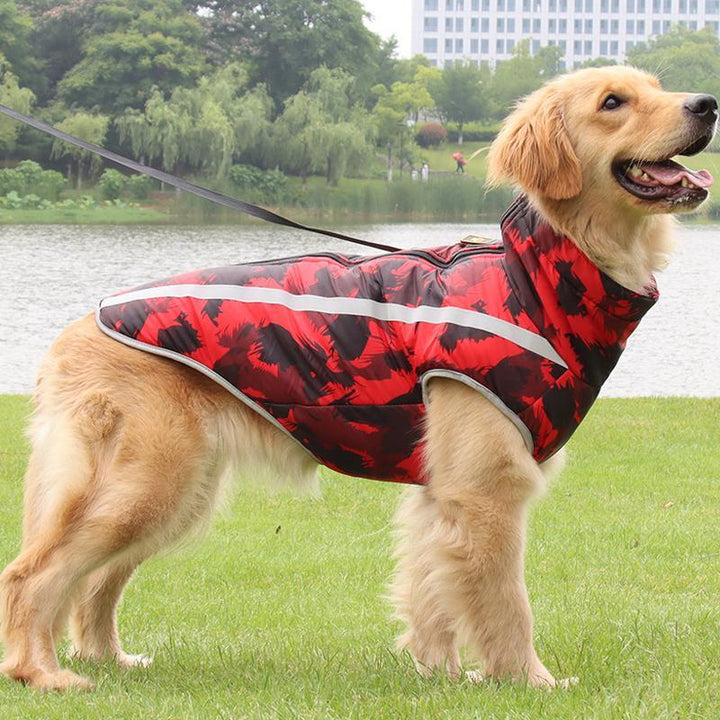 Golden Retriever mit roter Hundejacke, reflektierend, wasserdicht, Outdoor, am See.
