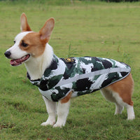 Corgi im Tarnmuster-Hundemantel auf Wiese, wasserdicht, warm, Outdoor-Hundebekleidung.
