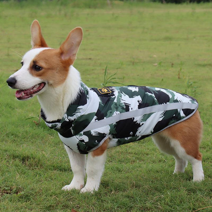 Corgi im Tarnmuster-Hundemantel auf Wiese, wasserdicht, warm, Outdoor-Hundebekleidung.