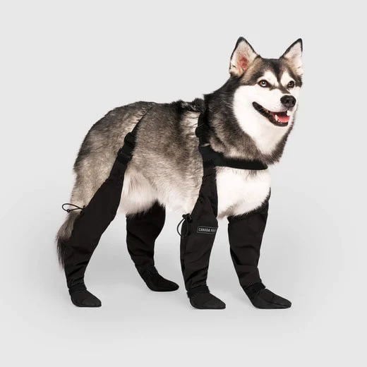 Hund in schwarzer Schutzkleidung, Husky, Hundebekleidung, Outdoor, wasserdicht, Schutzanzug.