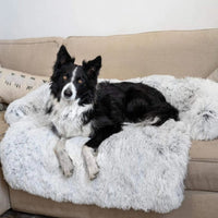 Schwarzer Hund auf grauem, flauschigem Hundesofa, gemütlich, Haustierbett, Wohnzimmer.