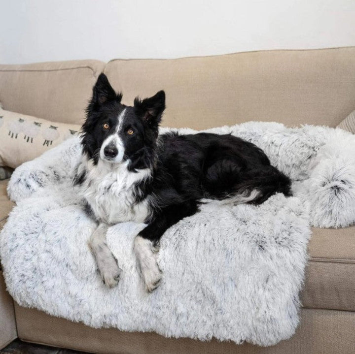 Schwarzer Hund auf grauem, flauschigem Hundesofa, gemütlich, Haustierbett, Wohnzimmer.