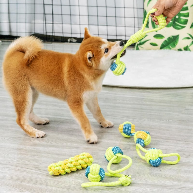 Shiba Inu Welpe spielt mit gelbem und blauem Kauspielzeug aus Seil auf Holzboden.