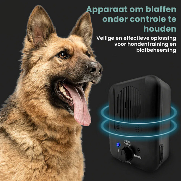 Deutscher Schäferhund neben Ultraschall-Anti-Bellgerät, schwarz, für Hundetraining.