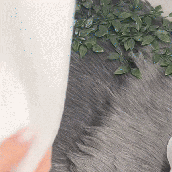 Weiße Katze auf grauem Kunstfell-Teppich mit grünen Blättern im Hintergrund.