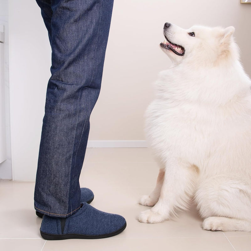 Person in blauer Jeans und Hausschuhen neben weißem Samojeden-Hund im Innenraum.