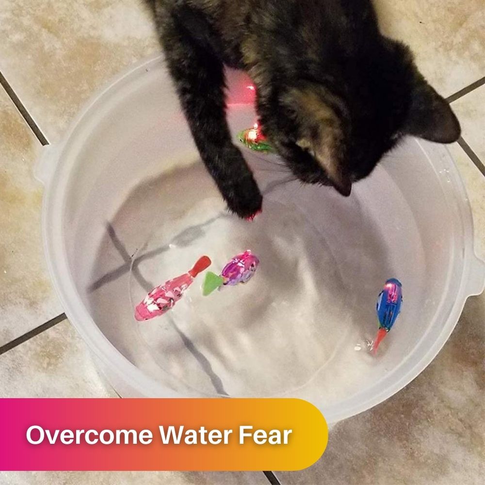 Katze spielt mit schwimmenden Spielzeugfischen in einer Wasserschüssel auf Fliesenboden.
