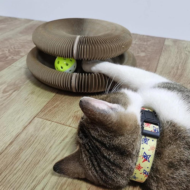 Katze spielt mit interaktivem Katzenspielzeug aus Pappe und Ball auf Holzboden.