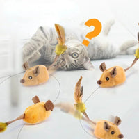 Graue Katze spielt mit gelbem Plüschmaus-Spielzeug, interaktives Katzenspielzeug, Feder, Fragezeichen.