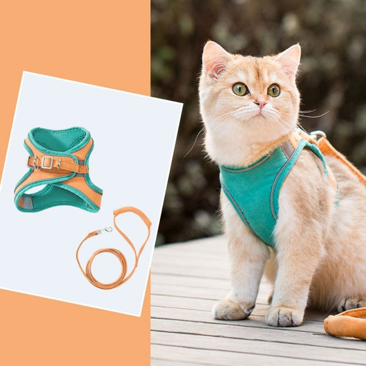 Katzen-Geschirr Set, türkis-orange, verstellbar, mit Leine, für Spaziergänge, Haustierbedarf.