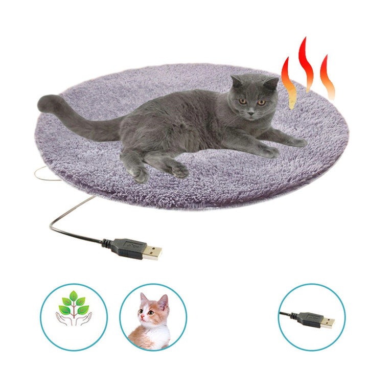 Graue Katze auf lila Heizkissen mit USB-Anschluss, ideal für Haustiere im Winter.