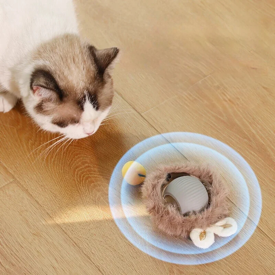 Katze spielt mit interaktivem Katzenspielzeug, Plüsch, Ball, Holzfußboden, Haustierunterhaltung.