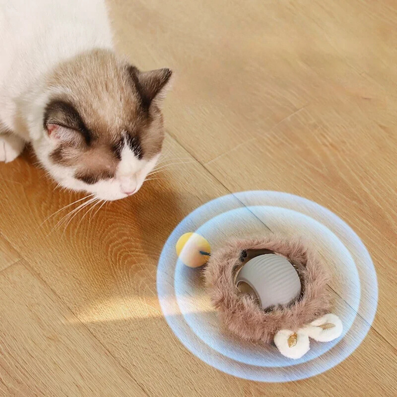 Katze spielt mit interaktivem Katzenspielzeug, Plüsch, Ball, Holzfußboden, Haustierunterhaltung.