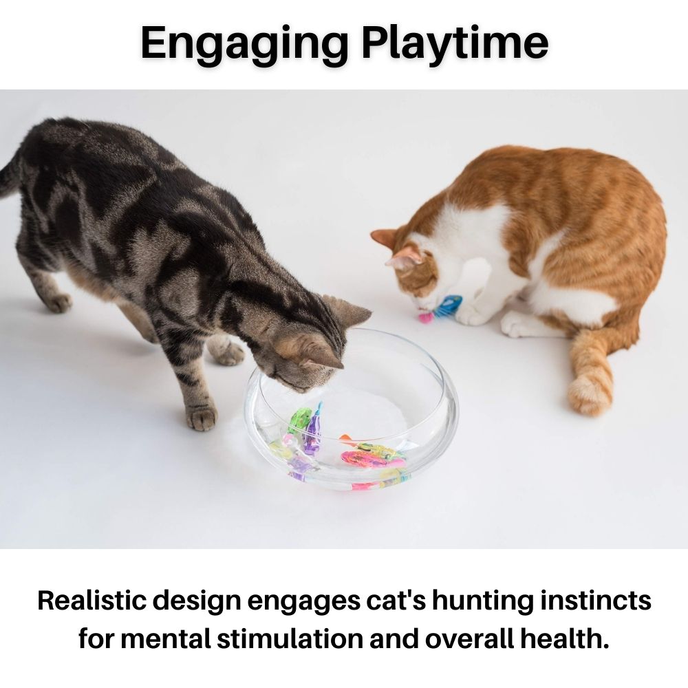 Zwei Katzen spielen mit interaktivem Katzenspielzeug in transparentem Behälter auf weißem Hintergrund.