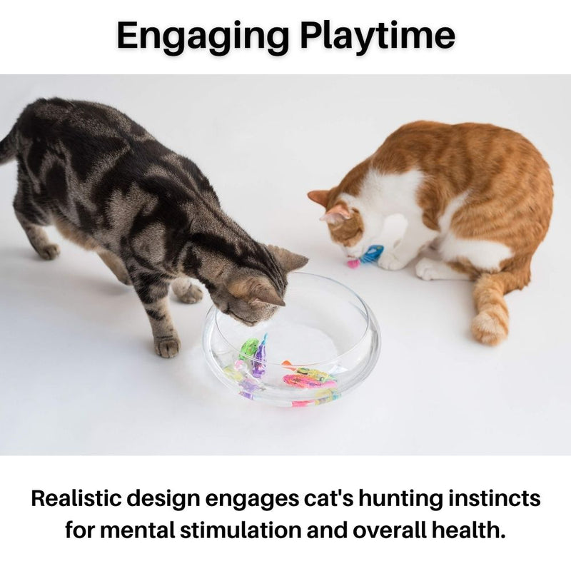 Zwei Katzen spielen mit interaktivem Katzenspielzeug in transparentem Behälter auf weißem Hintergrund.