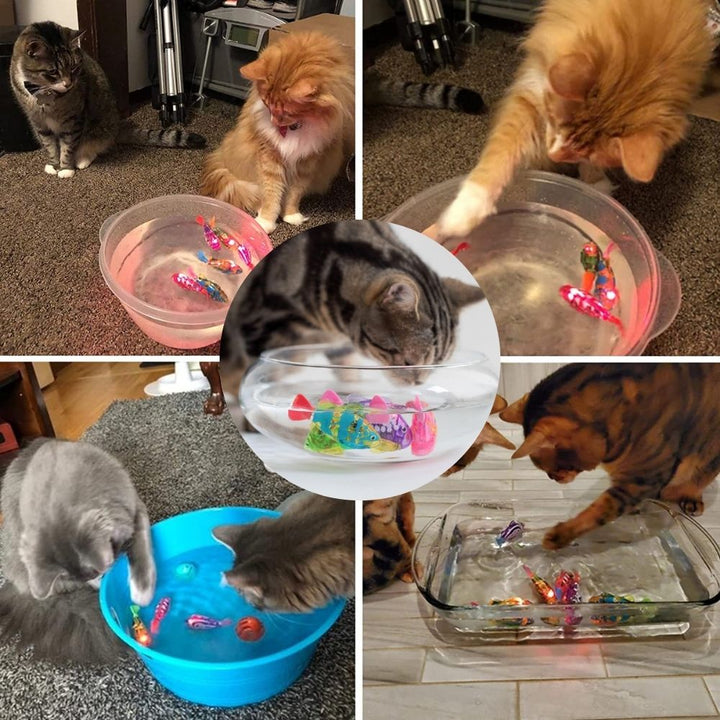 Katzen spielen mit schwimmendem Katzenspielzeug in Schüsseln, interaktives Wasserspielzeug.