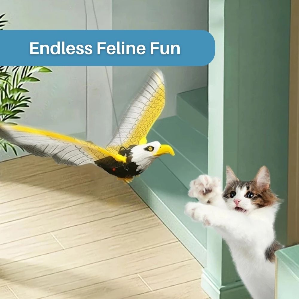 Katze spielt mit fliegendem Vogelspielzeug, gelb-grau, interaktives Katzenspielzeug.