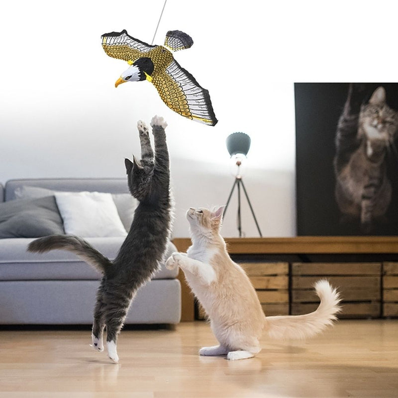 Katzen spielen mit hängendem Adler-Spielzeug im Wohnzimmer, graues Sofa im Hintergrund.
