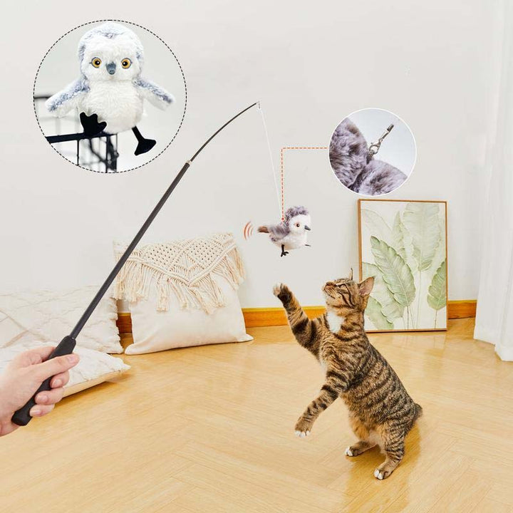 Katze spielt mit interaktivem Katzenspielzeug, Plüschvogel an Angel, Indoor-Haustierunterhaltung.