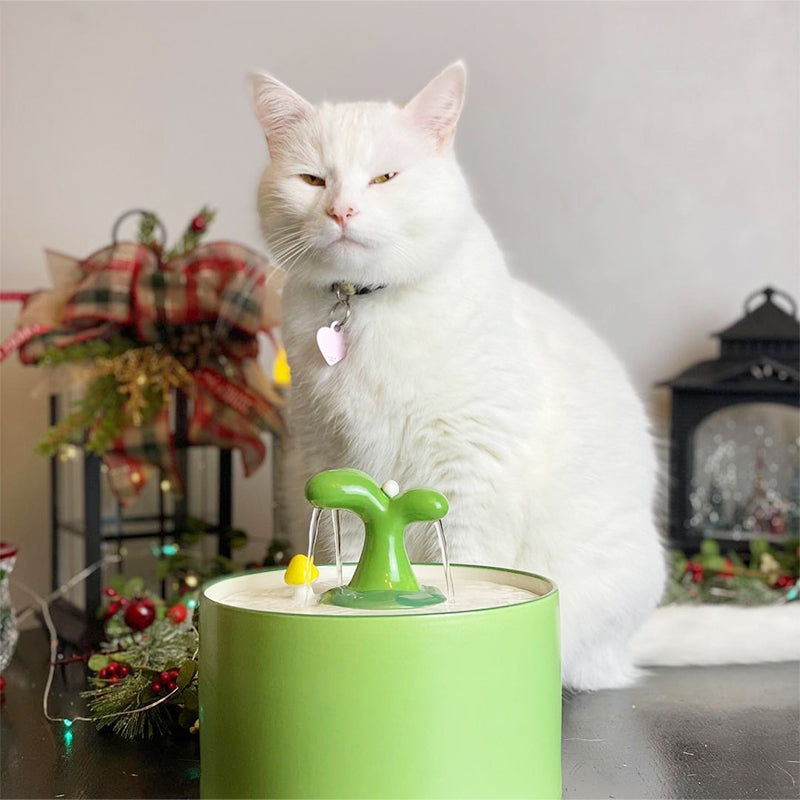 Weiße Katze neben grünem Katzenbrunnen, Weihnachtsdekoration im Hintergrund.