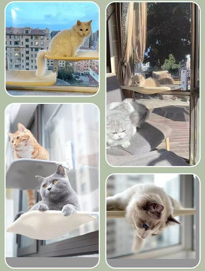Katzen auf Fensterbank-Sitz, beige, grau, weiß, Stadtblick, Sonnenlicht, Entspannung, Wohnung.