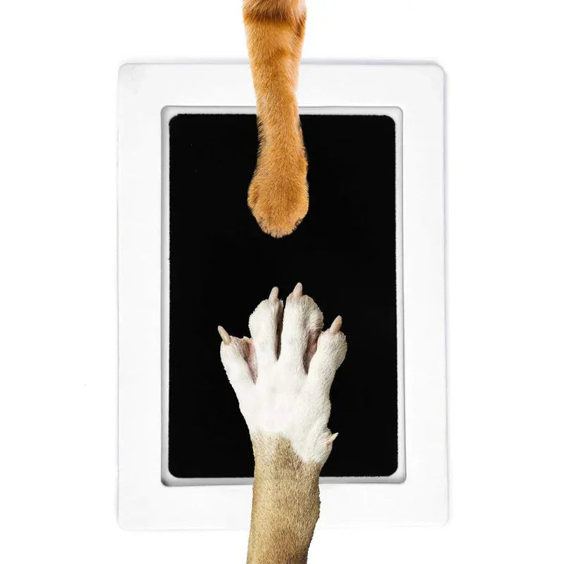 Hundepfote und Katzenpfote auf Tablet-Bildschirm, weißer Hintergrund, Haustier-Technologie.