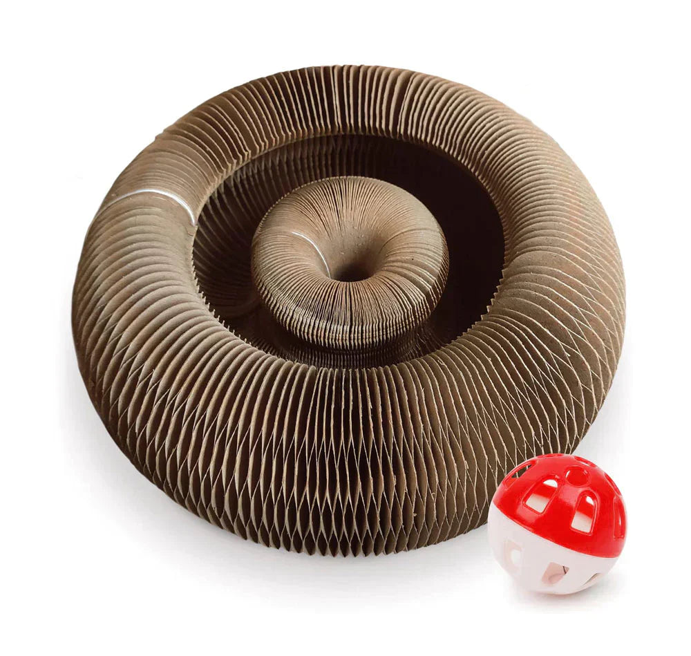Katzenspielzeug aus Pappe, spiralförmig, mit rotem Ball, interaktives Kratzspielzeug.
