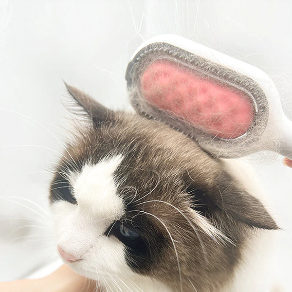 Teleskop-Katzenangel Mit Kamm-Funktion – Verstellbarer Spielstab Für Interaktiven Spielspaß Mit Katze & Hund