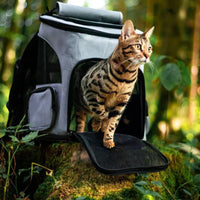 Bengalkatze in grauem Rucksack im Wald, Haustierträger, Outdoor-Abenteuer, Katzenrucksack.