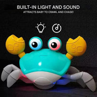 Interaktives Krabbelspielzeug mit Bewegung & Musik - KrabbelKrabbe