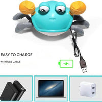 Interaktives Krabbelspielzeug mit Bewegung & Musik - KrabbelKrabbe