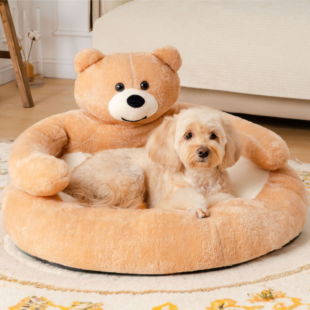 Kleiner Hund in einem beigen Teddybär-Hundebett aus Plüsch im Wohnzimmer.