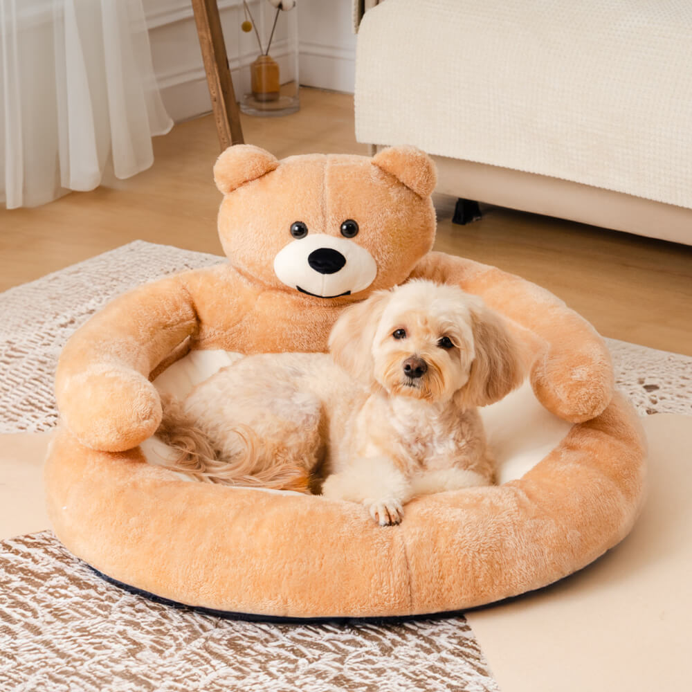 Kuscheliges Hundebett in Teddybär-Form, beige, Plüsch, für kleine Hunde, gemütlich, Wohnzimmer.