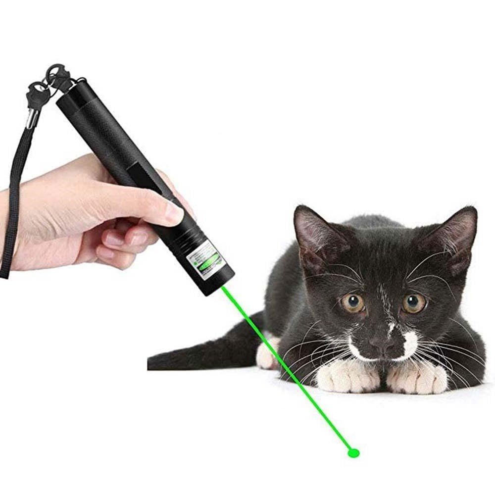 Schwarzer Laserpointer 303, hohe Leistung, grün, mit Katze, Hand, Batteriefach, Spielzeug.