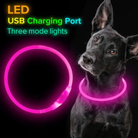 Schwarzer Hund mit pinkem LED-Halsband, USB aufladbar, drei Leuchtmodi.