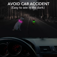 Leuchtende Hundehalsbänder, rosa und grün, nachts auf Straße, Sicherheit im Dunkeln.