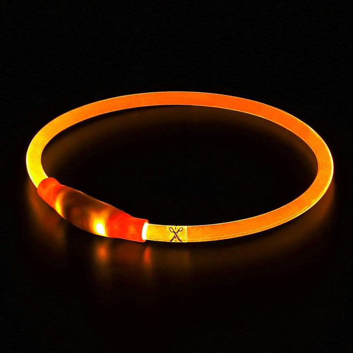 Leuchtendes LED-Halsband für Hunde, orange, verstellbar, Sicherheit bei Nachtspaziergängen.